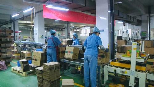 食品厂厂长爆料案例视频,揭秘食品安全背后的惊人真相  第3张