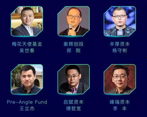 创投大佬爆料视频,揭秘投资界的内幕与真相  第2张