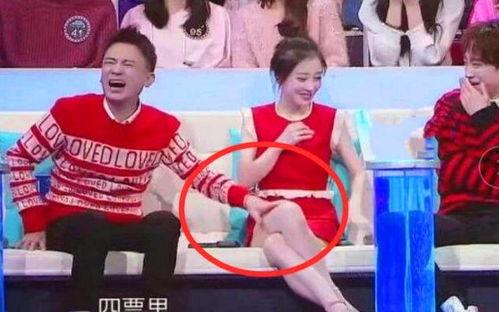 娱乐圈综艺节目吃瓜小说,揭秘明星们的“吃瓜”生活  第2张